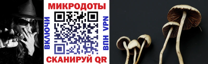 Псилоцибиновые грибы мицелий  Купить  Озёрск 